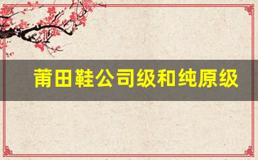 莆田鞋公司级和纯原级哪个好？买鞋前必读