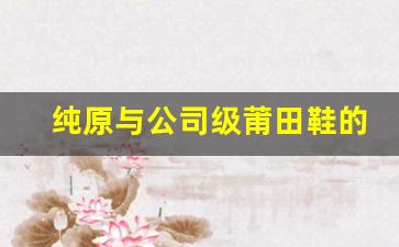 纯原与公司级莆田鞋的区别到底在哪