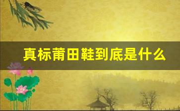 真标莆田鞋到底是什么？揭开其背后的真相