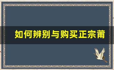 如何辨别与购买正宗莆田鞋的正确途径