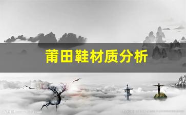 莆田鞋档次分类详解：从价格到材质的全面分析