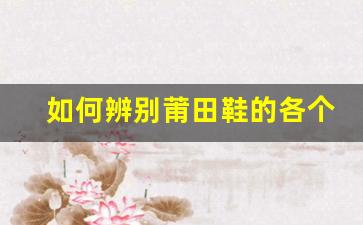 如何辨别莆田鞋的各个等级