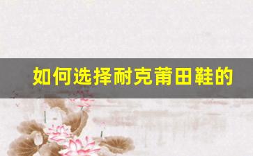 如何选择耐克莆田鞋的正规购买途径