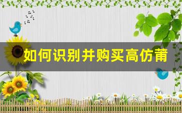 如何识别并购买高仿莆田鞋
