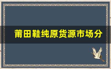 莆田鞋纯原货源市场分析：品质与价格的平衡