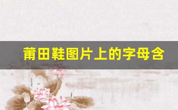 莆田鞋图片上的字母含义解析