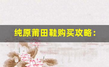 纯原莆田鞋购买攻略：哪里可以找到正品？
