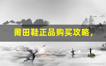 莆田鞋正品购买攻略，轻松找到最正宗款式