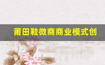 从财经角度看莆田鞋微商的商业模式创新