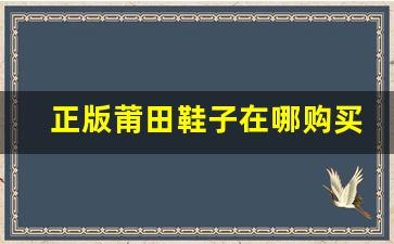 正版莆田鞋子在哪购买最划算？详细推荐
