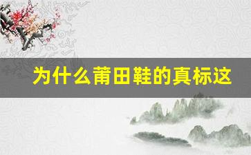 为什么莆田鞋的真标这么受关注