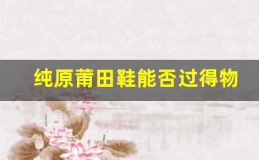 纯原莆田鞋能否过得物？专家给出的独立见解