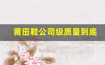 莆田鞋公司级质量到底如何？详解其优缺点