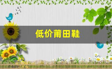 从低到高，揭秘莆田鞋价格的不同层次