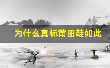 为什么真标莆田鞋如此受欢迎？了解其魅力所在