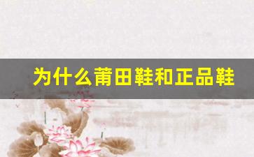 为什么莆田鞋和正品鞋看起来相似但不完全一样