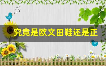 究竟是欧文田鞋还是正品更舒适