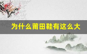 为什么莆田鞋有这么大价格差距